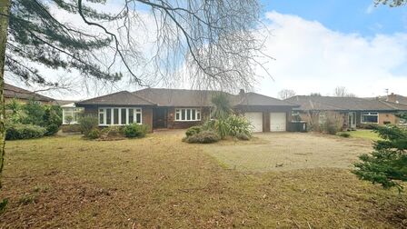 Castle View, 3 bedroom Detached Bungalow to rent, £2,500 pcm