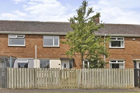 Opal Avenue, 3 bedroom Mid Terrace House to rent, £700 pcm