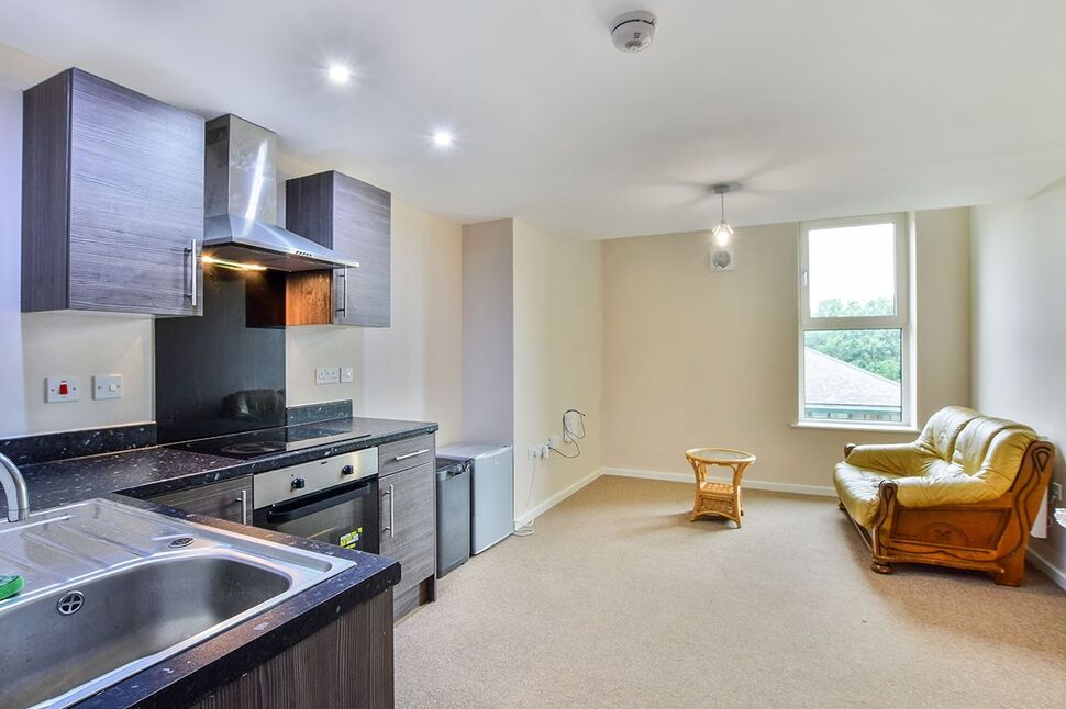 Open Plan Living Room / Dining Room / Kitchen