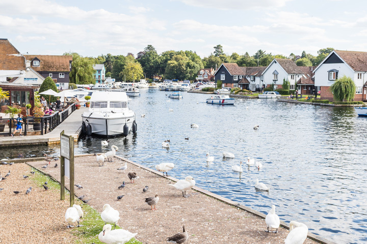 Why move to Wroxham?